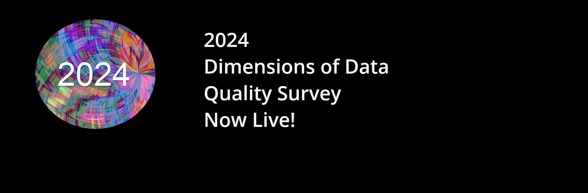 2024 Dimensions of Data Quality Survey
