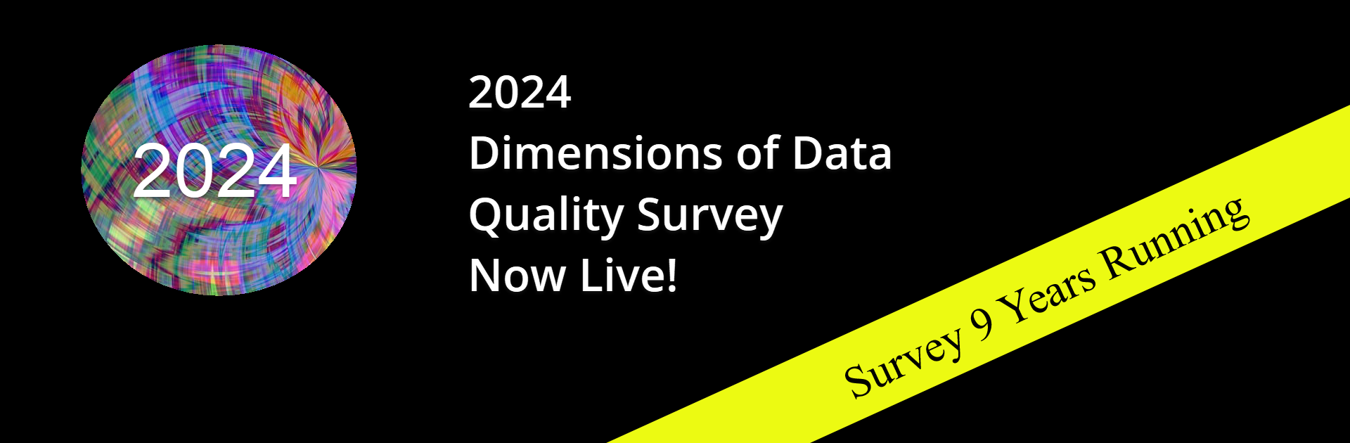 2024 Dimensions of Data Quality Survey